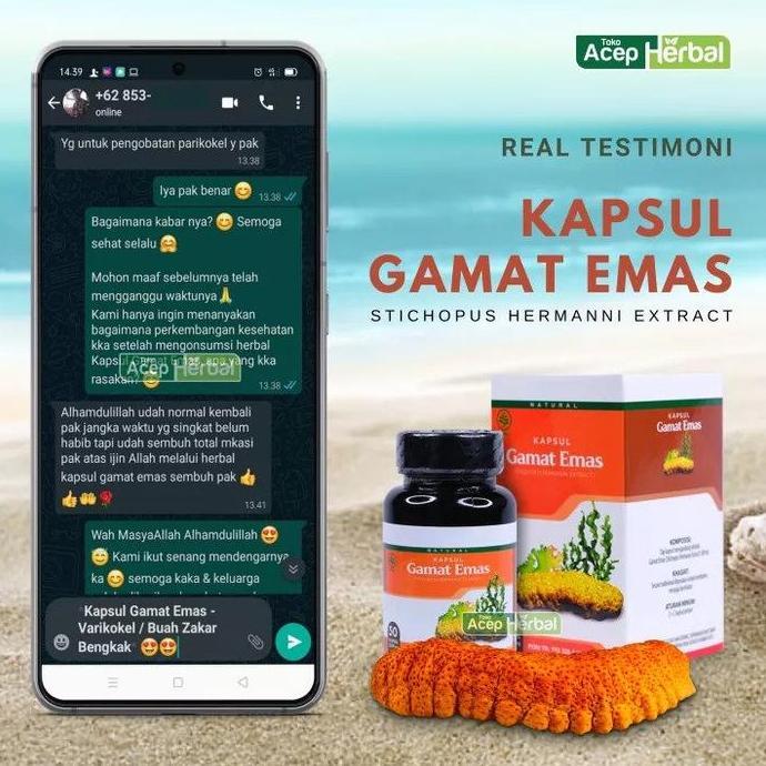 Heal- Kapsul Gamat Emas , Kapsul Gamat, Gamat Kapsul
