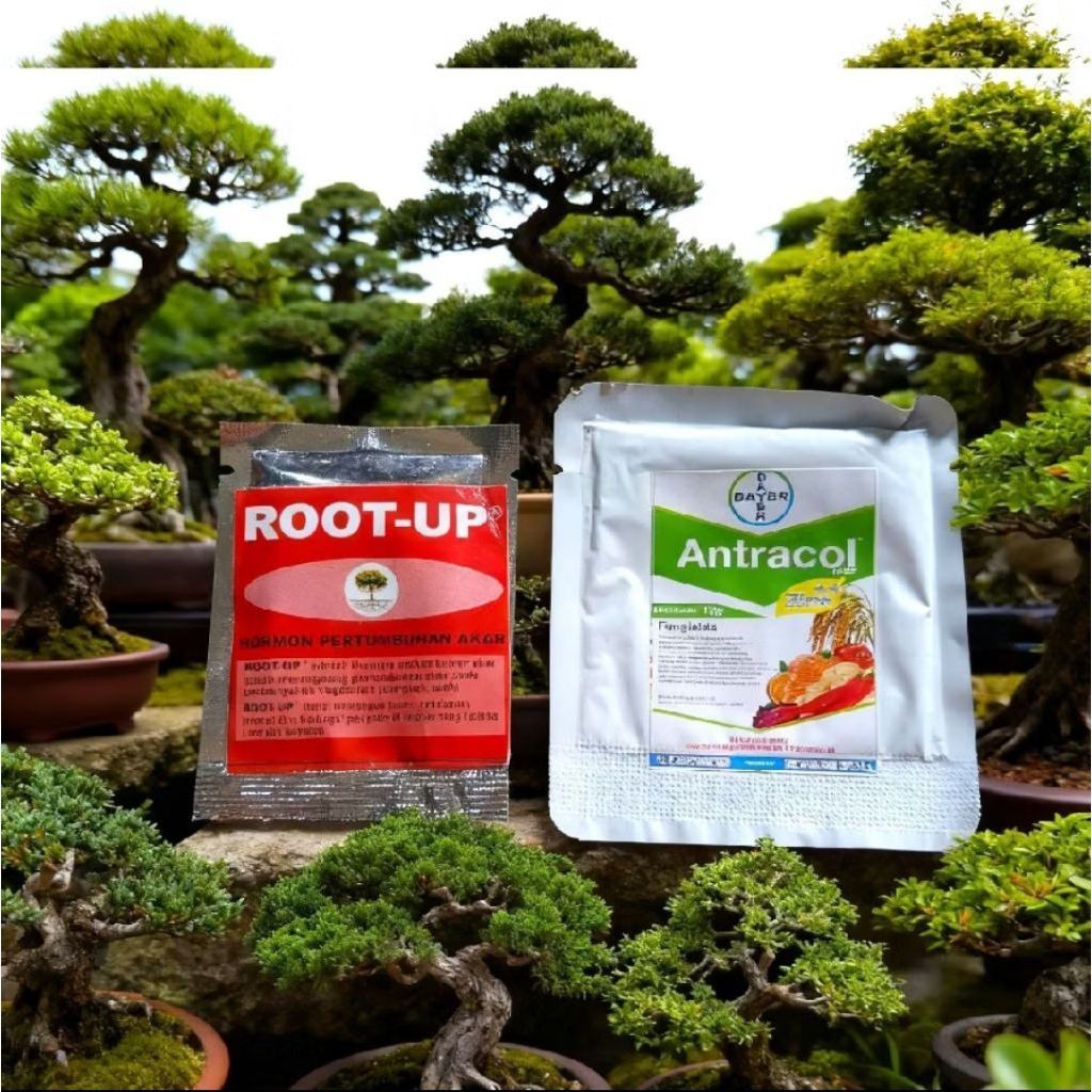 Paket 2 Pcs Root Up & Antracol Sachet - Kombinasi Penumbuh Akar + Anti Busuk Akar Jamur Tanaman Hias