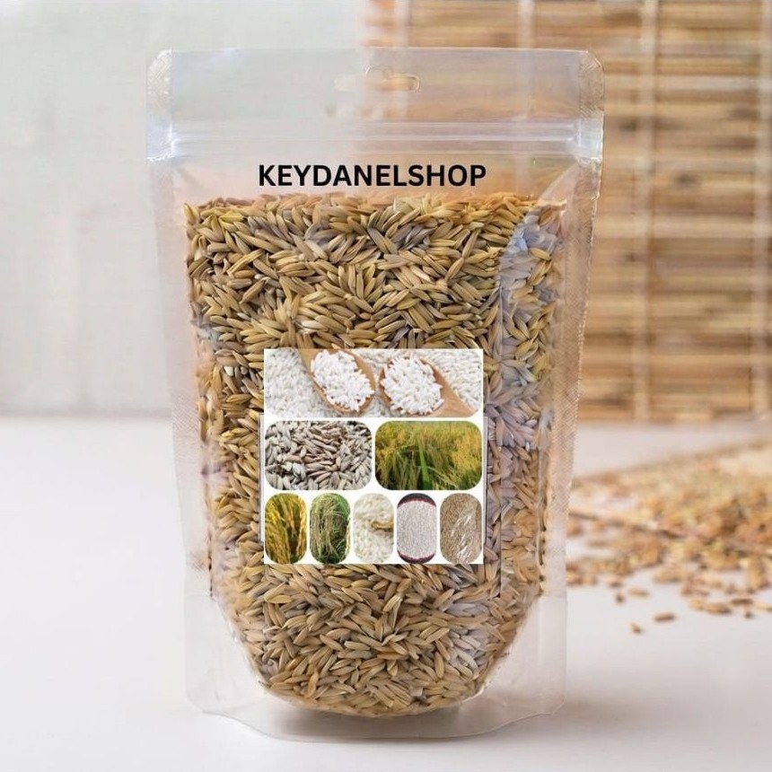Benih padi ketan putih premium /ketan putih 500 gram