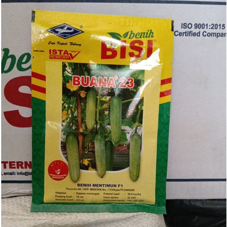 benih timun buana 23 F1