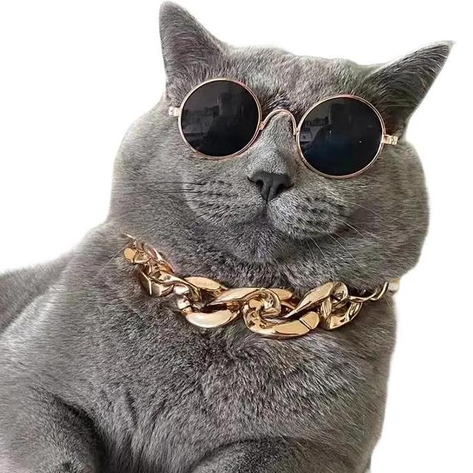 Kalung Hewan Peliharaan Anjing Kucing Fashion Rantai Emas