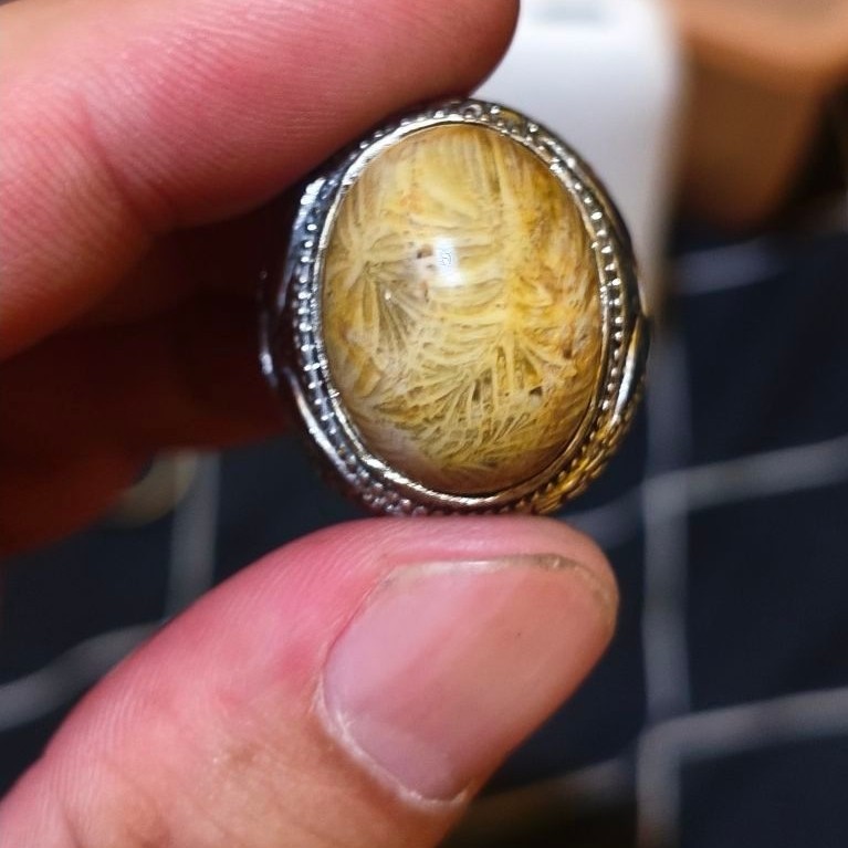 Cincin Batu Akik Fos sil Teratai Lipan