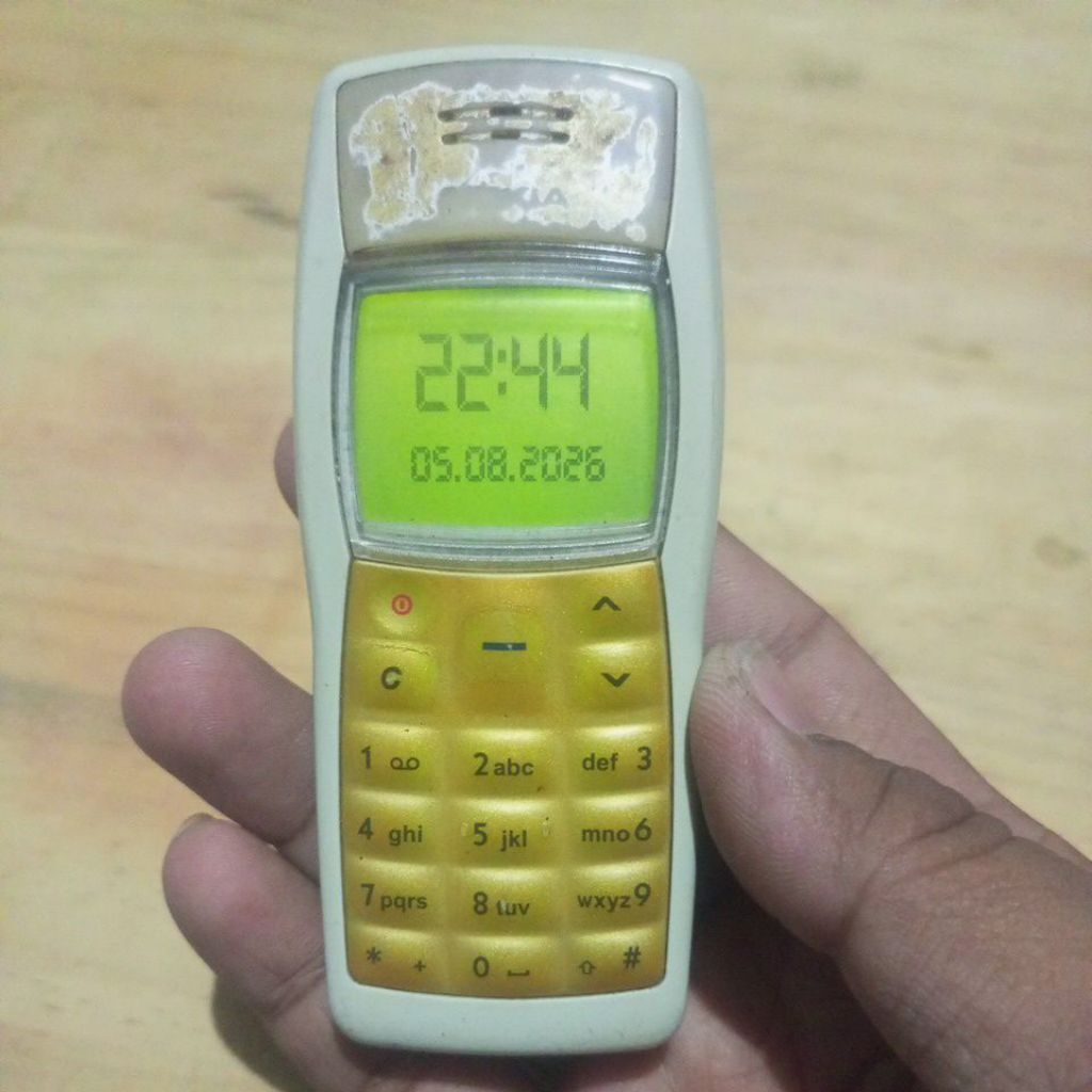 Nokia 1100