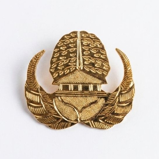 pin korpri ASN lapis emas