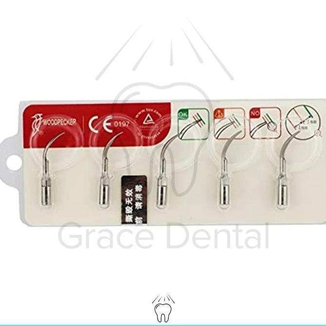 Gigisehat- Scaler Tip Woodpecker Ultrasonic Ser