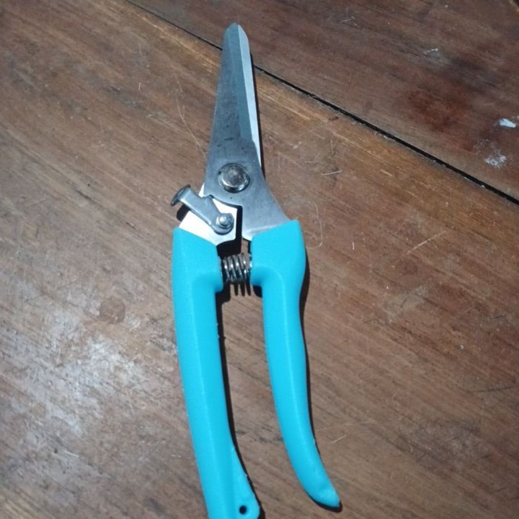 Gunting Pruning Gunting dahan ranting