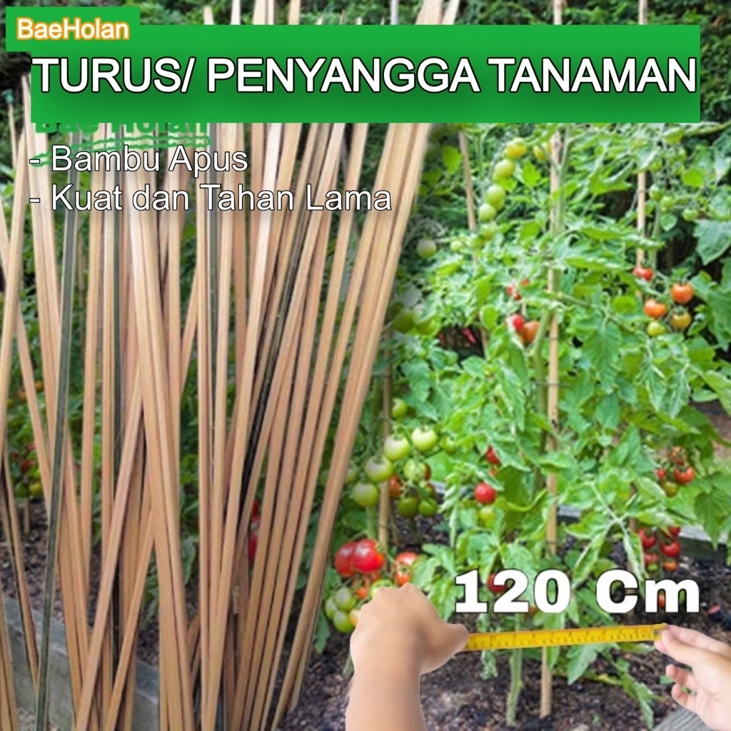 Bilah Bambu Ajir Tanaman Penyangga 1m