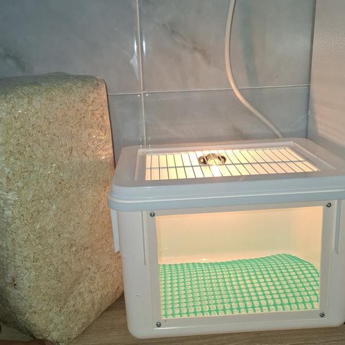 Lizetyy77 - Box Lolohan Penghangat Burung Lolohan/Anakan Free 2 Lampu