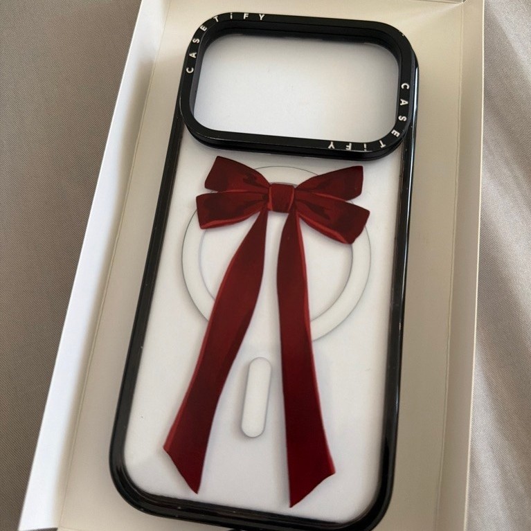 casetify 17 pro preloved