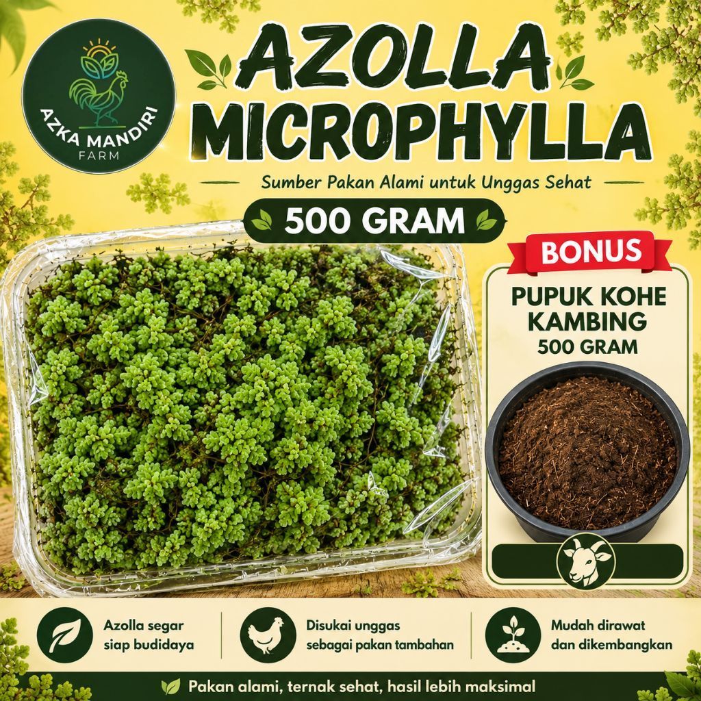 Azolla Microphylla 500 Gram + Bonus Pupuk Kohe Kambing 500 Gram | Azolla Segar Pakan Ternak & Budida