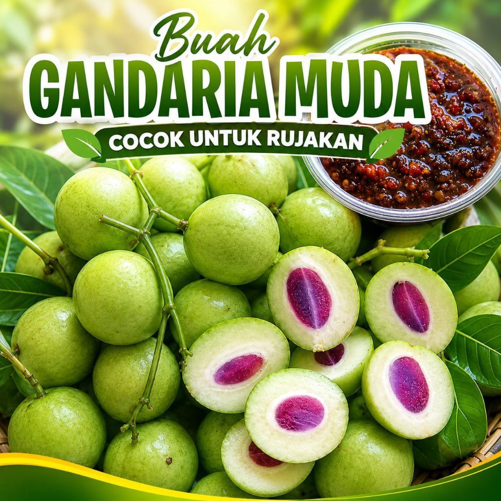 Buah Gandaria / Jatake 500 gram. Cocok Untuk Rujakan, Gandaria muda
