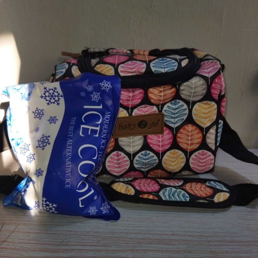 cooler bag / ASIP bag, preloved
