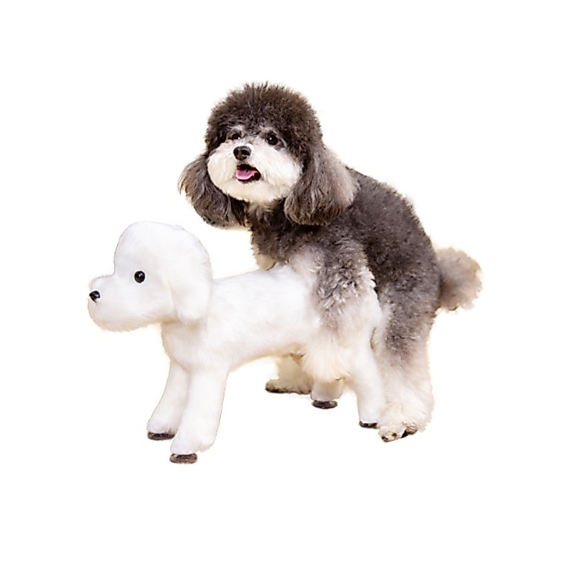 Dog Venting Toy for Men, Male Dog, Girlfriend in Heat Mating Pet Sex Toys, Reduce Irritability, Shou