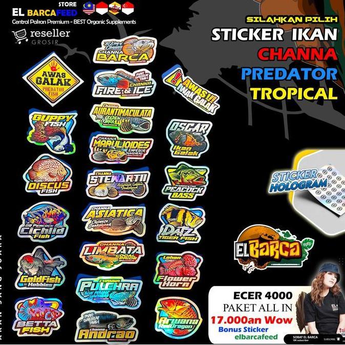 Sasana- Paket Pakan Channa Limbata ( Pakan UntukMenebal Kan RimTebal Merah Hh Fin )+Sticker Channa G
