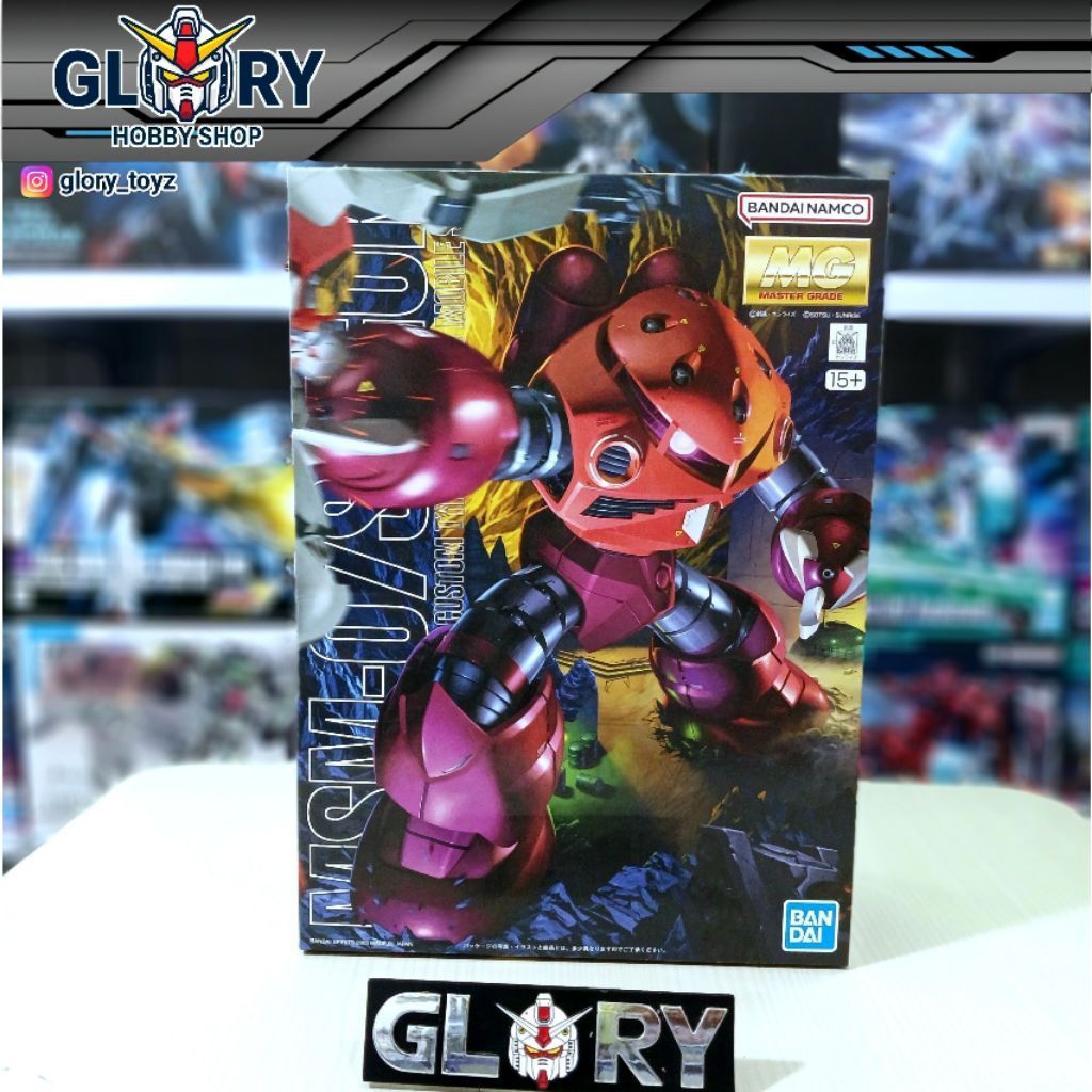 BANDAI MG 1/100 ZGOK CHAR CUSTOM