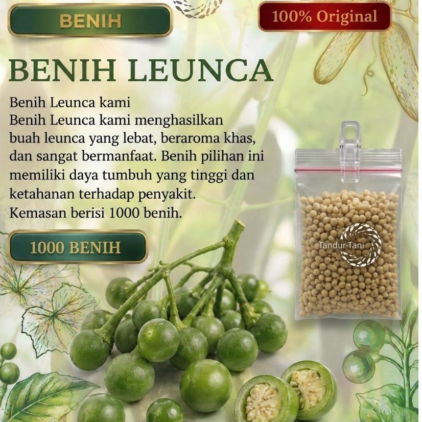 Tandur tani 1000 Butir Benih Leunca unggul Leunca lalap