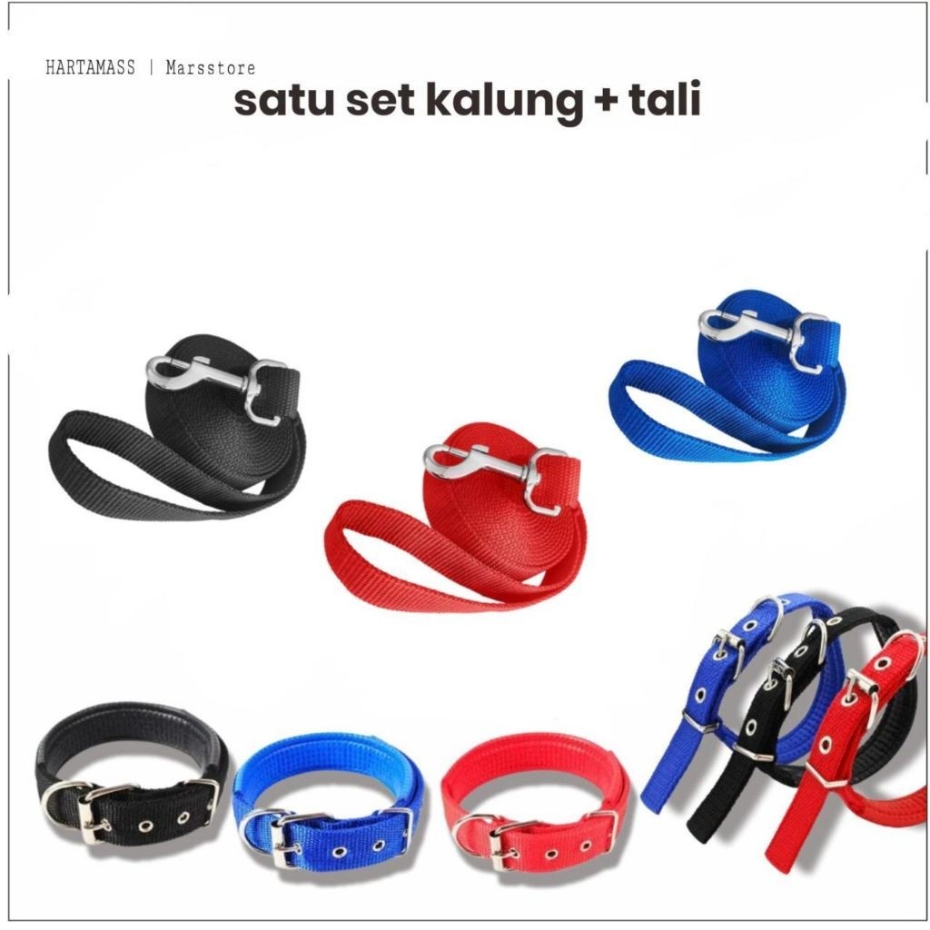 tali tuntun hewan anjing kambing kontes kambing domba garut
