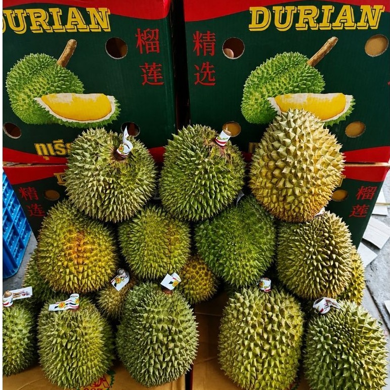 Durian Monthong Thailand -+2kg | Durian Thailand | Pcs