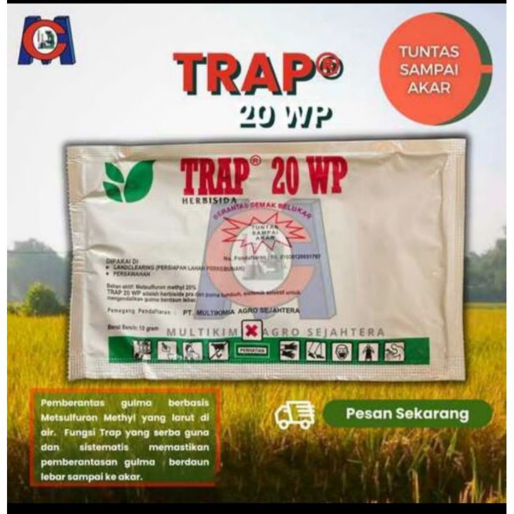 TRAP 20WP, HERBISIDA PEMBASMI RUMPUT