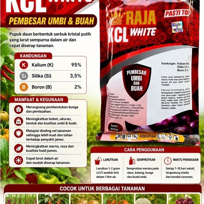 PUPUK KCL RAJA WHITE 500gr original kcl