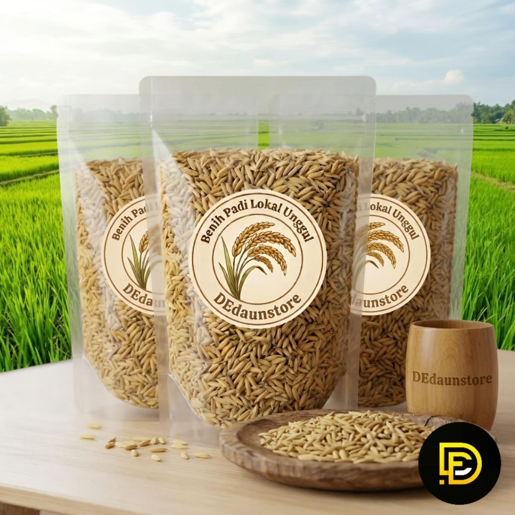 Benih padi lokal super pulen bibit padi mantap-az