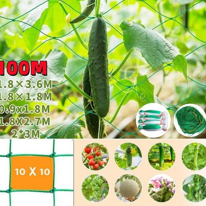 CARFST Plant Climbing Net (trellis Net)/Jaring Tanaman Merambat/Jaring Tanaman Rambat/Jaring Rambat 