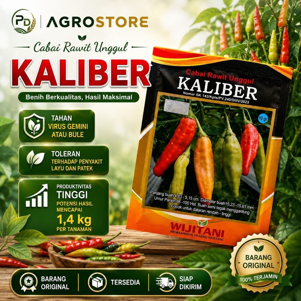 Benih Cabe Rawit Kaliber 10gr Produktivitas Tinggi Tahan Virus Merah Menyala