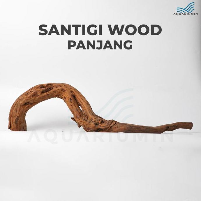 Kayu Santigi Gunung / Santigi Wood Aquascape Aquarium