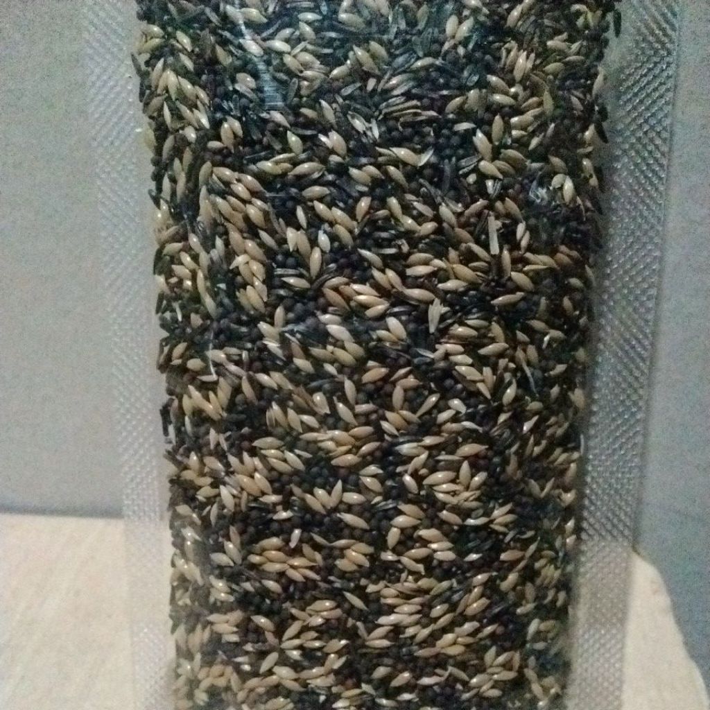 pakan kenari cepat gacor Pakan burung kenari GACOR KONSLET biji bijian premium