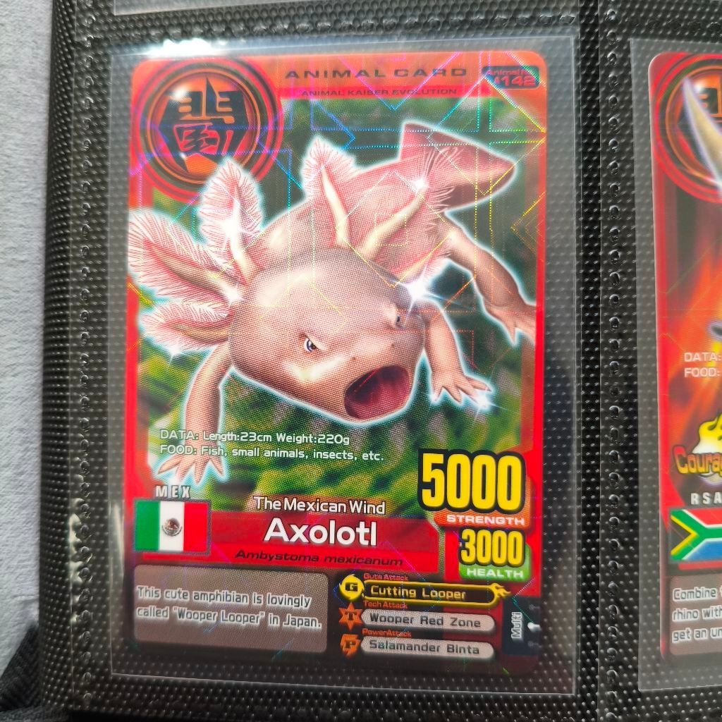 Animal Kaiser Axolotl Evo 8
