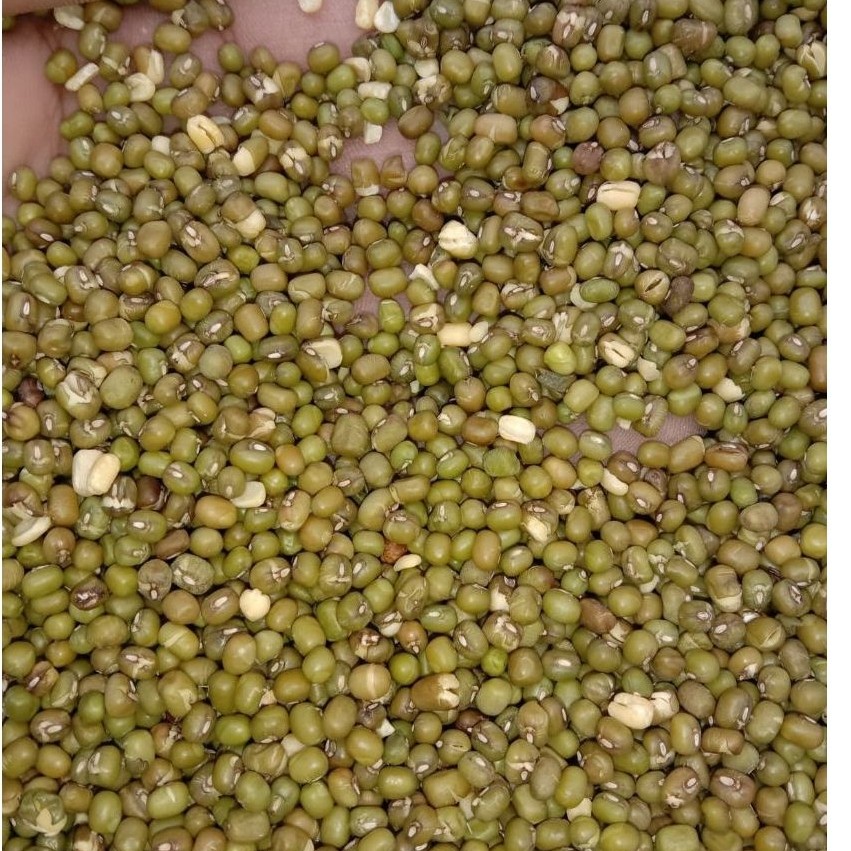 kacang hijau full hijau paket 25 kg