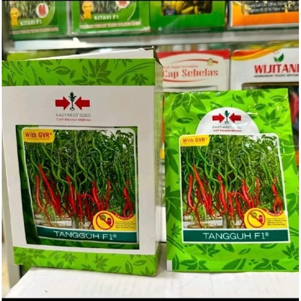 cabe keriting TANGGUH f1