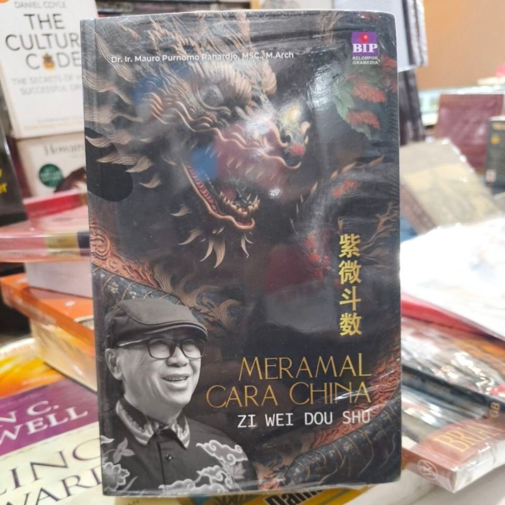 Buku MERAMAL CARA CHINA by ZI WEI DOU SHU