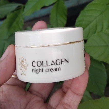 Viva Collagen Night Cream - Krim Collagen Malam