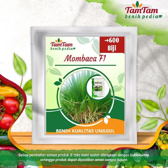 AGRIMAX BENIH MOMBACA F1 PANICUM MAXIMUM PAKAN TERNAK SAPI/KAMBING (600BIJI)