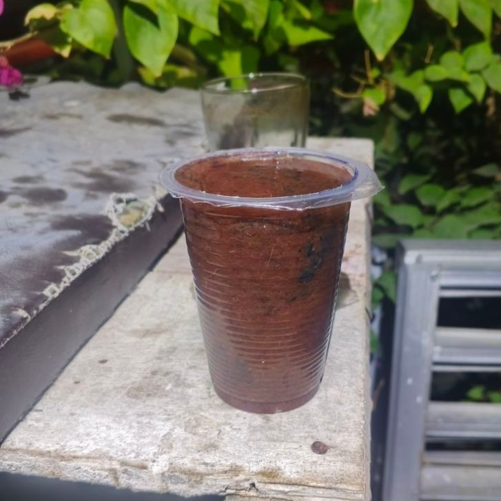 Cacing Sutra Hidup Gelasan Pakan Cupang Larva Ikan