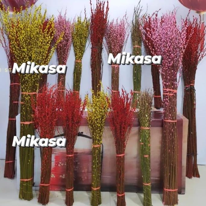 Pussy Willow Imlek Isi 10 Tangkai