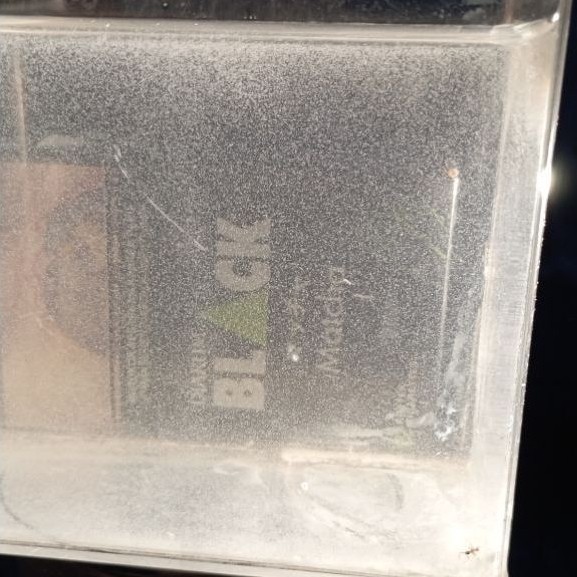 infusoria hidup bersih pakan burayak ikan ukuran kecil pakan ikan molly cupang danio glofish Tetra