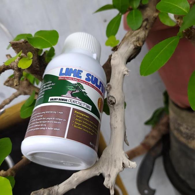 Promo Lime Sulfur Diskon