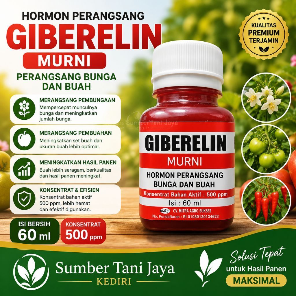 ZPT Giberelin 60 ml - Murni 500 ppm, Merangsang Pembungaan & Pembuahan Tanaman