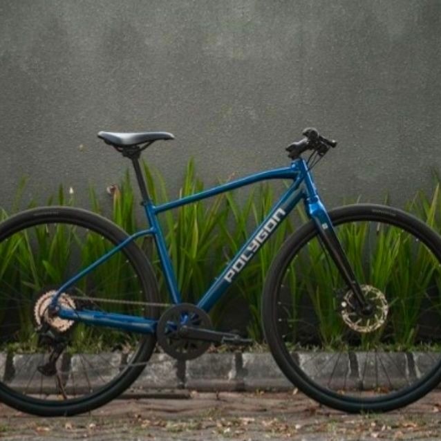 Sepeda Hybrid Polygon Path 2