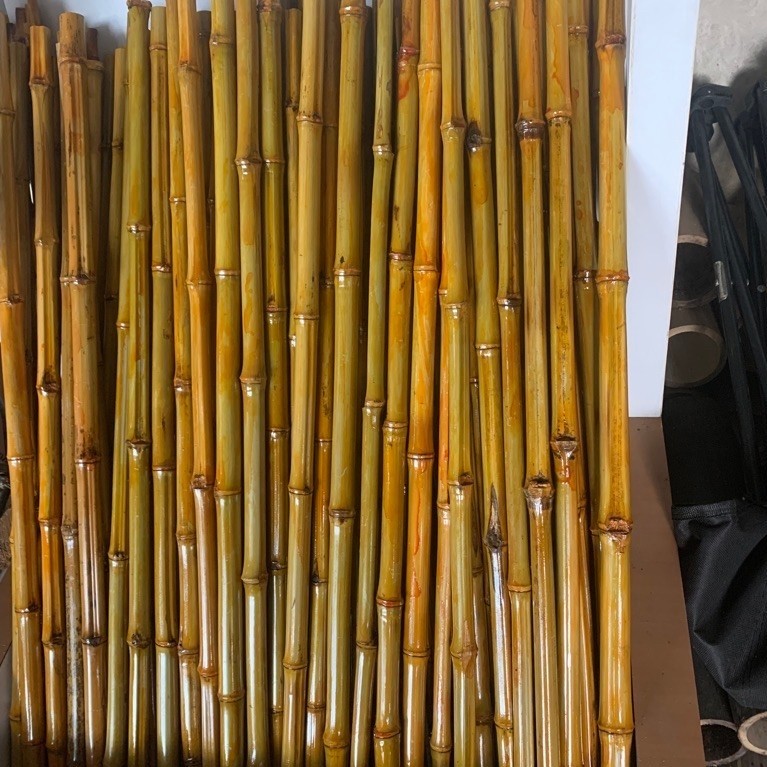 Bambu Kuning Plitru 100cm Batang Utuh | Bambu Hias Natural untuk Taman, Pagar & Dekorasi Rumah