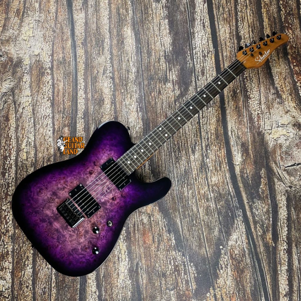 Schecter PT Standard Telecaster Style in Purple Burst Burl 2025