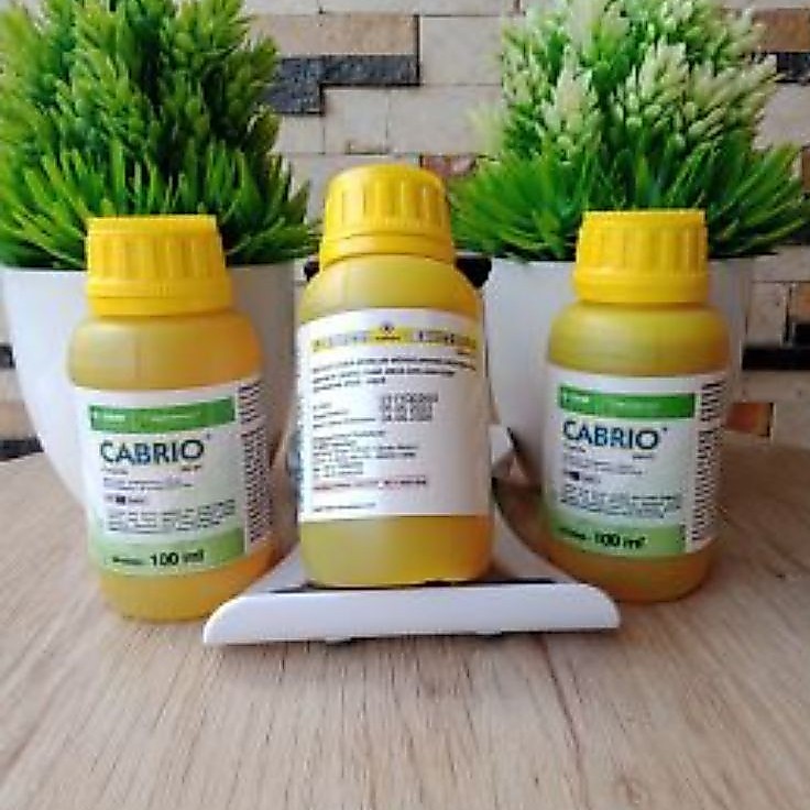 Cabrio 100 ml