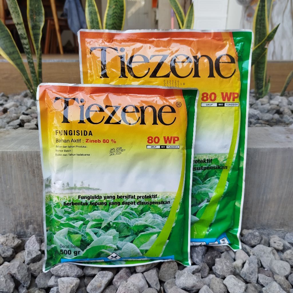 TIEZENE 80 WP Fungisida Protektif Zineb 80%