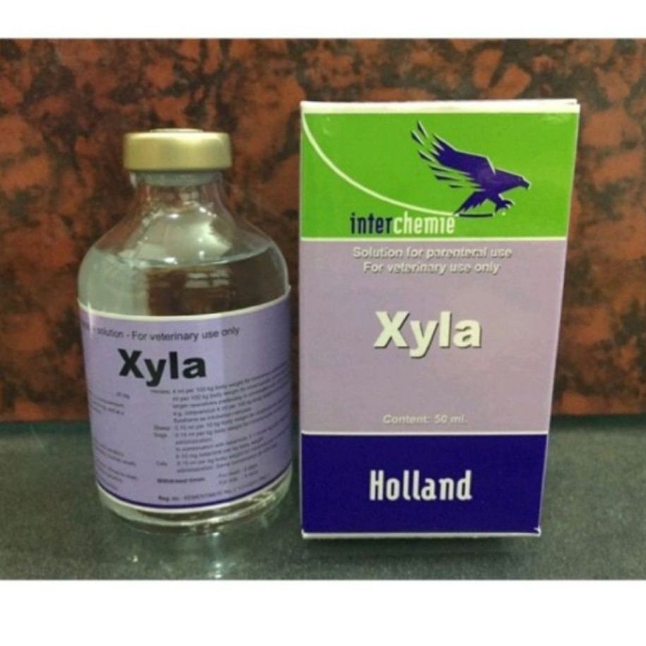 XYLA-HOLAND Obat Hewan 50ML Membantu Kesehatan Hewan Herbal Minuman Hewan