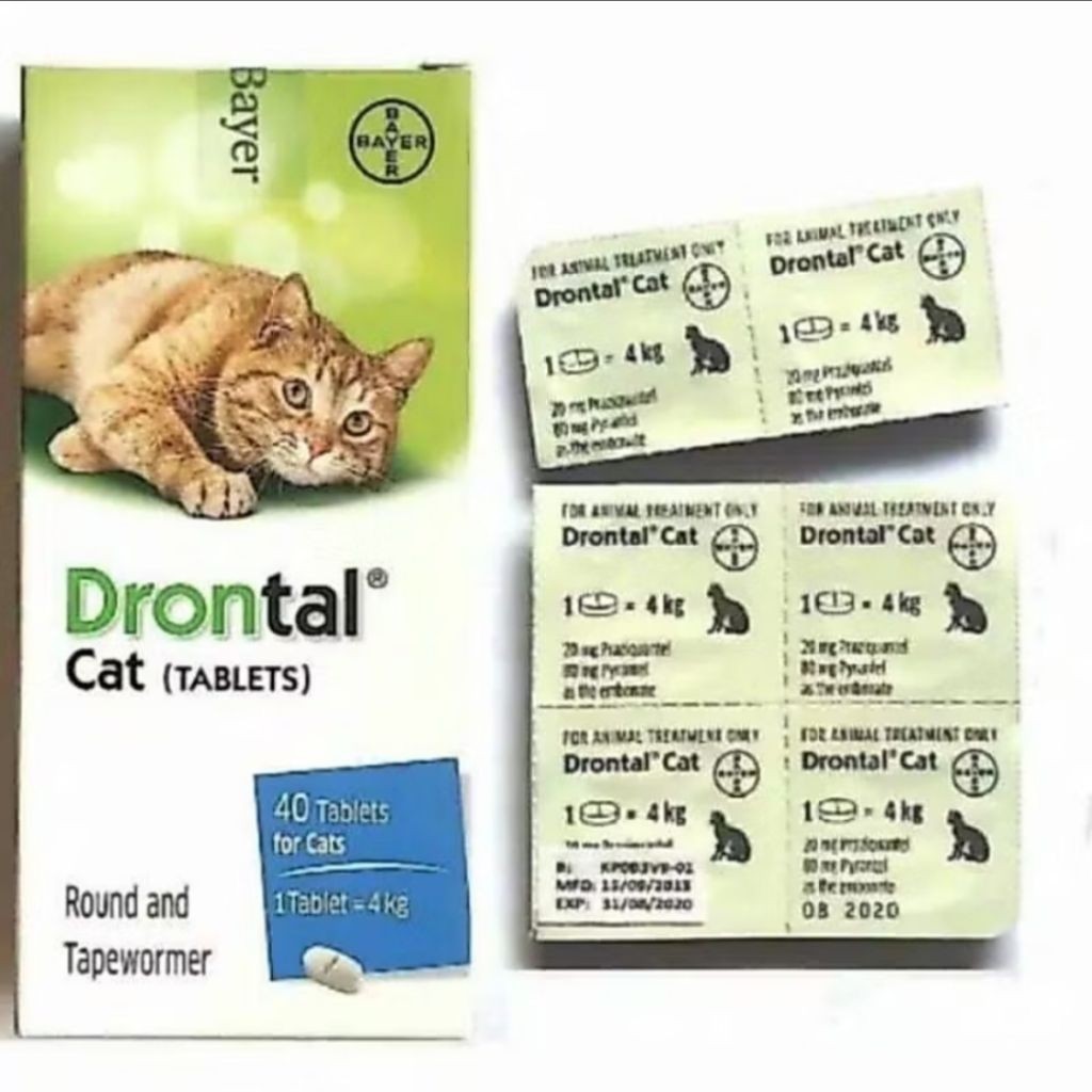 Drontal Cat - Obat Cacing Drontal