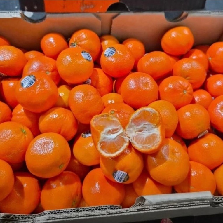Jeruk Tangold Australia (Jeruk Impor Mandarin premium)