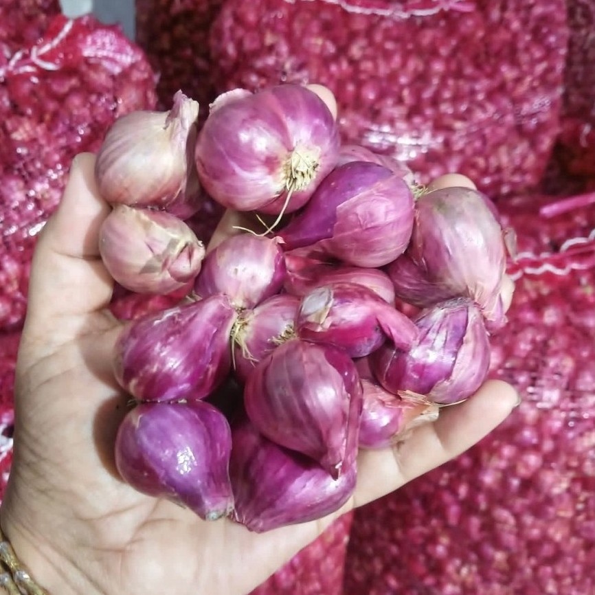 Bawang Merah Ukuran Sedang 1 Karung