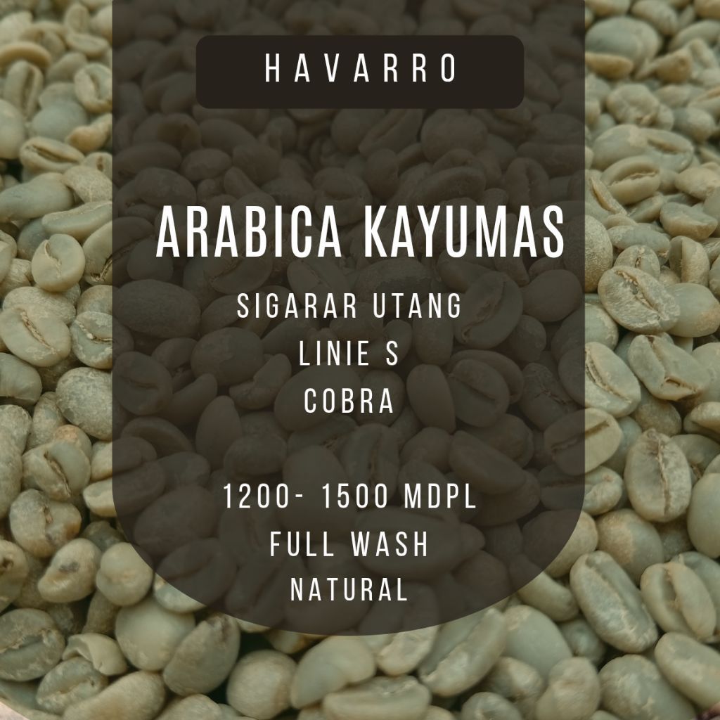 Green beans Arabica Kayumas - Ijen, Situbondo. Kopi Biji.